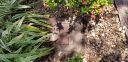 Filename=20180821_115517.jpg
Filesize=4400KiB
Dimensions=4032x1960
Date added=Aug 22, 2018 20180821_115517.jpg