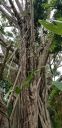 Filename=20180829_172504.jpg
Filesize=2642KiB
Dimensions=1960x4032
Date added=Aug 30, 2018 20180829_172504.jpg
