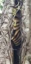 Filename=20180829_172517.jpg
Filesize=1660KiB
Dimensions=1960x4032
Date added=Aug 30, 2018 20180829_172517.jpg