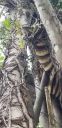 Filename=20180829_172529.jpg
Filesize=1696KiB
Dimensions=1960x4032
Date added=Aug 30, 2018 20180829_172529.jpg