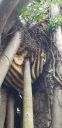 Filename=20180829_172543.jpg
Filesize=1464KiB
Dimensions=1960x4032
Date added=Aug 30, 2018 20180829_172543.jpg