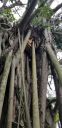Filename=20180829_172546.jpg
Filesize=2111KiB
Dimensions=1960x4032
Date added=Aug 30, 2018 20180829_172546.jpg