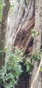 20180829_172617.jpg