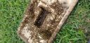 20180830_172858.jpg