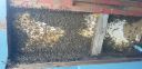 Filename=20181005_105922.jpg
Filesize=3966KiB
Dimensions=4032x1960
Date added=Oct 20, 2018 20181005_105922.jpg