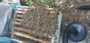 Filename=20181005_120253.jpg
Filesize=3079KiB
Dimensions=4032x1960
Date added=Oct 20, 2018 20181005_120253.jpg