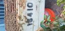 Filename=20181005_120316.jpg
Filesize=3352KiB
Dimensions=4032x1960
Date added=Oct 20, 2018 20181005_120316.jpg
