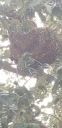 20181009_175706~0.jpg