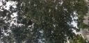 20181009_175743.jpg