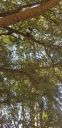 20181026_121613.jpg