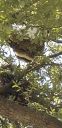 Filename=20181026_121626.jpg
Filesize=721KiB
Dimensions=1960x4032
Date added=Nov 07, 2018 20181026_121626.jpg