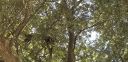Filename=20181026_121720.jpg
Filesize=1289KiB
Dimensions=4032x1960
Date added=Nov 07, 2018 20181026_121720.jpg