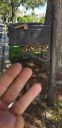 Filename=20181026_121745.jpg
Filesize=1431KiB
Dimensions=1960x4032
Date added=Nov 07, 2018 20181026_121745.jpg