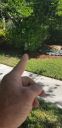 Filename=20181026_121751.jpg
Filesize=1480KiB
Dimensions=1960x4032
Date added=Nov 07, 2018 20181026_121751.jpg