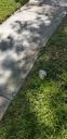 Filename=20181026_123132.jpg
Filesize=1873KiB
Dimensions=1960x4032
Date added=Nov 07, 2018 20181026_123132.jpg