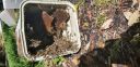 Filename=20181026_124203.jpg
Filesize=3452KiB
Dimensions=4032x1960
Date added=Nov 07, 2018 20181026_124203.jpg
