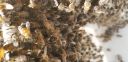 Filename=20181026_124636.jpg
Filesize=1757KiB
Dimensions=4032x1960
Date added=Nov 07, 2018 20181026_124636.jpg