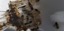 Filename=20181026_124720.jpg
Filesize=1919KiB
Dimensions=4032x1960
Date added=Nov 07, 2018 20181026_124720.jpg