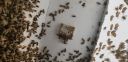 Filename=20181026_124727.jpg
Filesize=2214KiB
Dimensions=4032x1960
Date added=Nov 07, 2018 20181026_124727.jpg