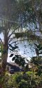 20181110_095801.jpg