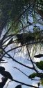 20181110_095859.jpg