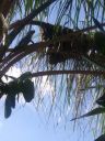 20181110_095914.jpg