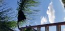 20181110_101709.jpg