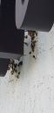 Filename=20181121_133521.jpg
Filesize=428KiB
Dimensions=1960x4032
Date added=Nov 26, 2018 20181121_133521.jpg