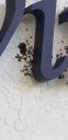 Filename=20181121_133616.jpg
Filesize=499KiB
Dimensions=1960x4032
Date added=Nov 26, 2018 20181121_133616.jpg