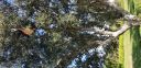 20181129_135918.jpg
