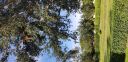 20181129_135948.jpg