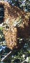 20181129_140137~0.jpg