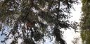 Filename=20181210_074842.jpg
Filesize=4345KiB
Dimensions=4032x1960
Date added=Dec 10, 2018 20181210_074842.jpg