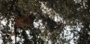 Filename=20181210_074846.jpg
Filesize=2640KiB
Dimensions=4032x1960
Date added=Dec 10, 2018 20181210_074846.jpg