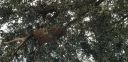 Filename=20181210_074924.jpg
Filesize=2668KiB
Dimensions=4032x1960
Date added=Dec 10, 2018 20181210_074924.jpg