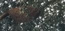 Filename=20181210_074930.jpg
Filesize=1722KiB
Dimensions=4032x1960
Date added=Dec 10, 2018 20181210_074930.jpg