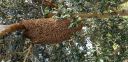 Filename=20181210_085031.jpg
Filesize=3877KiB
Dimensions=4032x1960
Date added=Dec 10, 2018 20181210_085031.jpg
