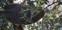 Filename=20181210_091053.jpg
Filesize=2380KiB
Dimensions=4032x1960
Date added=Dec 10, 2018 20181210_091053.jpg