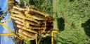 Filename=20181210_115058.jpg
Filesize=3988KiB
Dimensions=4032x1960
Date added=Dec 10, 2018 20181210_115058.jpg
