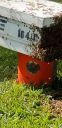 Filename=20181210_130317~1.jpg
Filesize=1168KiB
Dimensions=1862x3831
Date added=Dec 12, 2018 20181210_130317~1.jpg
