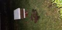 Filename=20181210_193851.jpg
Filesize=3952KiB
Dimensions=4032x1960
Date added=Dec 12, 2018 20181210_193851.jpg