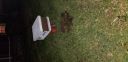 Filename=20181210_193901.jpg
Filesize=4225KiB
Dimensions=4032x1960
Date added=Dec 12, 2018 20181210_193901.jpg