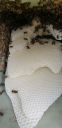 Filename=20190211_123722.jpg
Filesize=596KiB
Dimensions=1960x4032
Date added=Feb 11, 2019 20190211_123722.jpg