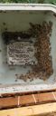 Filename=20190211_124407.jpg
Filesize=820KiB
Dimensions=1960x4032
Date added=Feb 11, 2019 20190211_124407.jpg