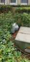 Filename=20190211_130548.jpg
Filesize=1579KiB
Dimensions=1960x4032
Date added=Feb 11, 2019 20190211_130548.jpg
