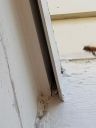 20190307_165851.jpg