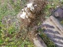 20190313_132635.jpg