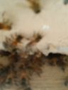 20190314_122931.jpg