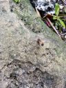 20190320_160737.jpg