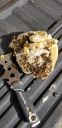 Filename=20190329_165459.jpg
Filesize=1563KiB
Dimensions=1960x4032
Date added=Apr 02, 2019 20190329_165459.jpg